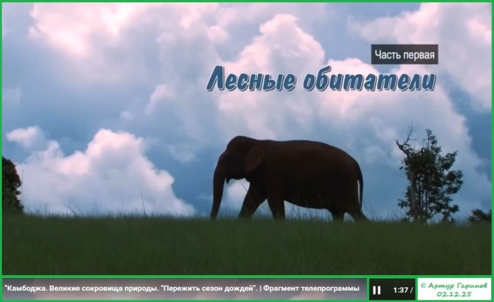 Облака (Великие сокровища природы | Весомый аргумент)
