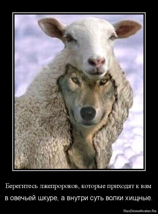 Не добрый пастырь