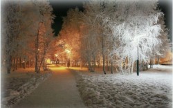 Сегодня ночь посеребрила лес.