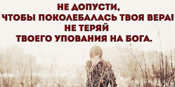 К Вере шли...