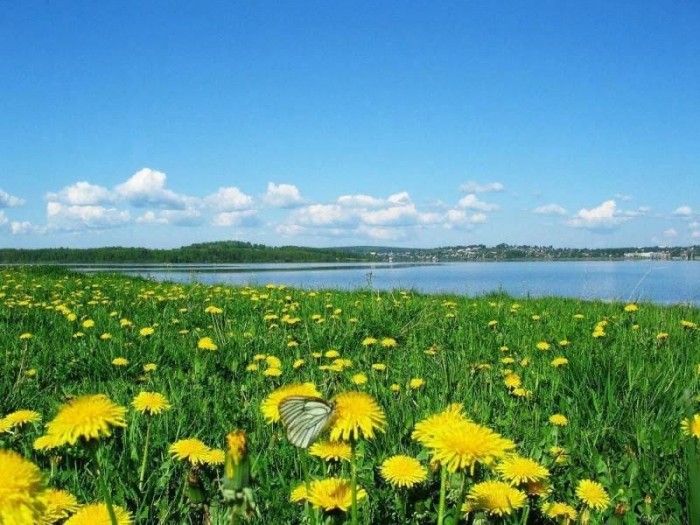 Чуть помедленнее, лето!