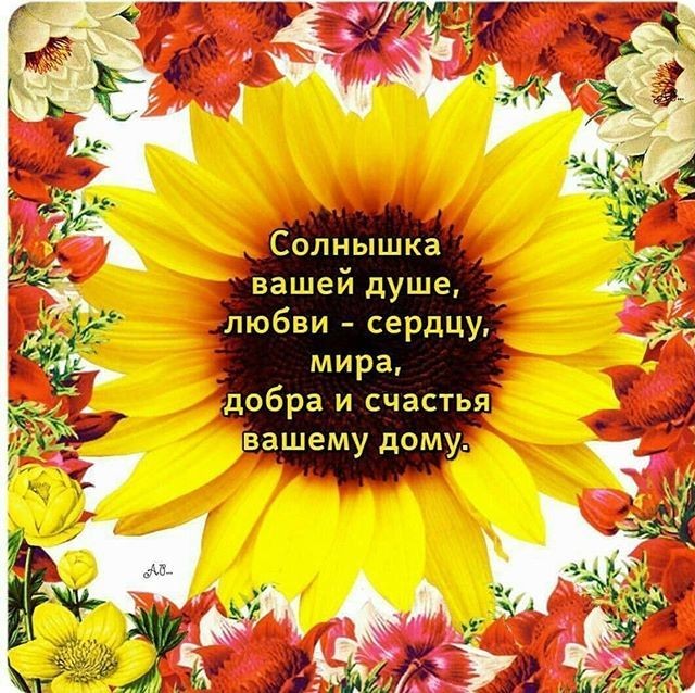 Светлый мир под солнышком &ndash; праздник на душе.
