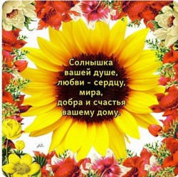 Светлый мир под солнышком &ndash; праздник на душе.
