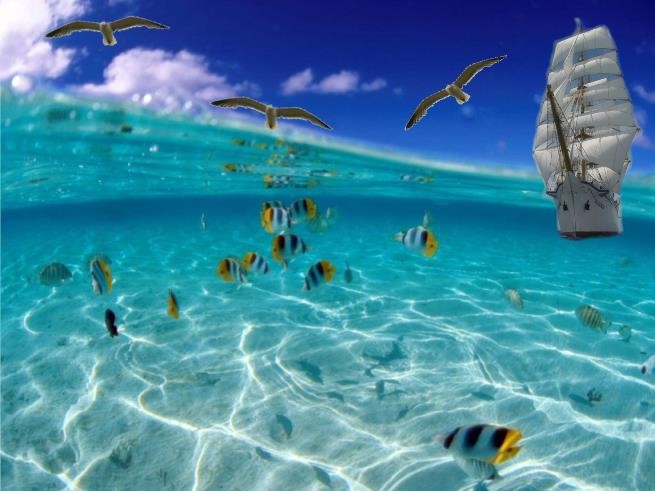 Эта бестия морем зовётся.