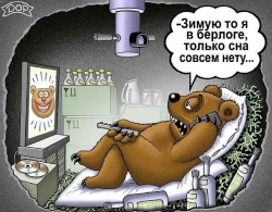 Тревогу загнать бы в берлогу...