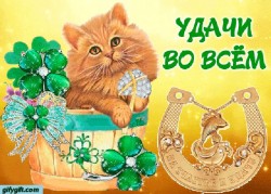 УДАЧА