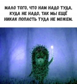Куда идём? К чему придём?