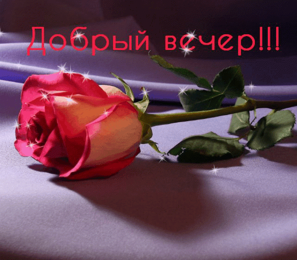Сердце
