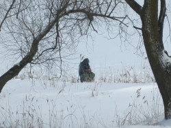 А.Посохов "Посланец неба" (басня)