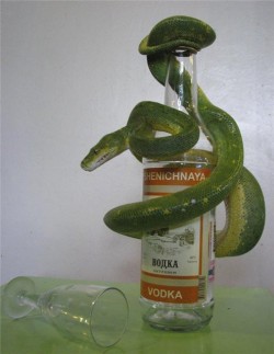 Зелёный змей