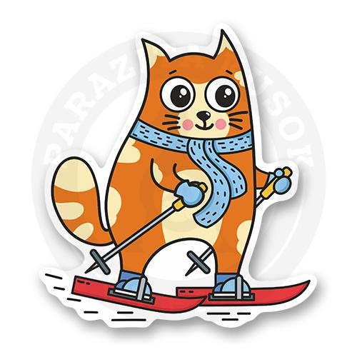 Кот на лыжах.