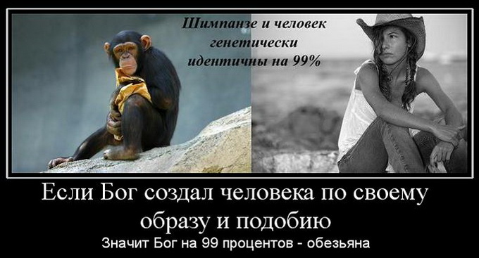 ПО ОБРАЗУ И ПОДОБИЮ