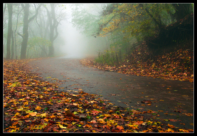 Осень