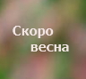 Скоро весна