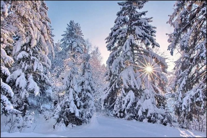 Под ярким солнцем