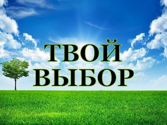 Твой выбор