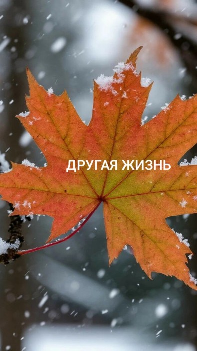 Другая жизнь
