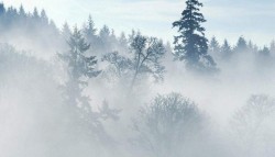 Февральский туман