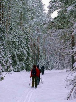 В ГОСТИ ПРИШЛА ЗИМА