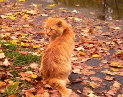 А иначе будет в жизни всё не то!