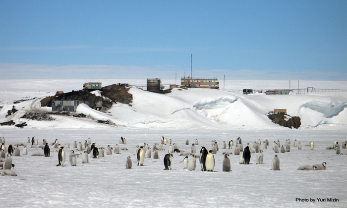 Ивану Хмаре,трагически  погибшему в Антарктиде при открытии станции "Мирный"