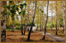Осенью в лесу
