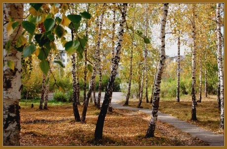 Осенью в лесу