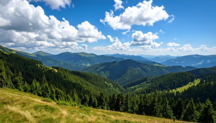 Седые Карпаты