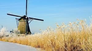 Колос