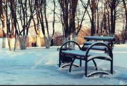 Он в парке частый гость