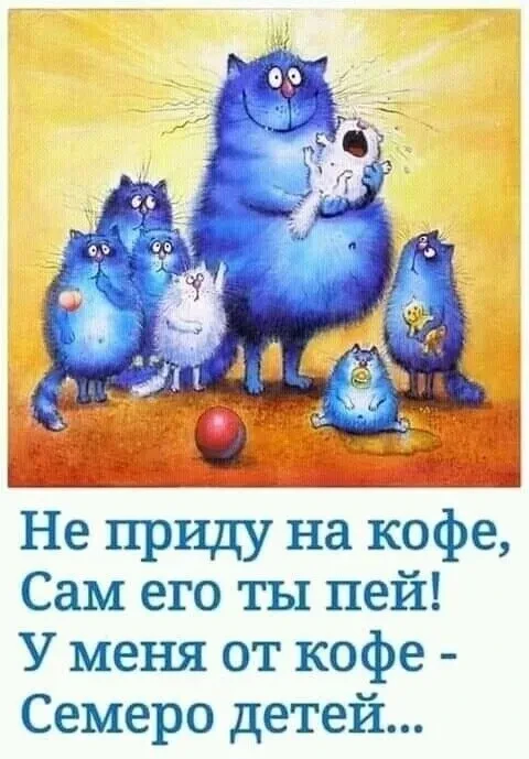 ♤♡◇♧