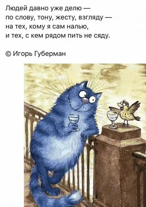 ♤♡◇♧