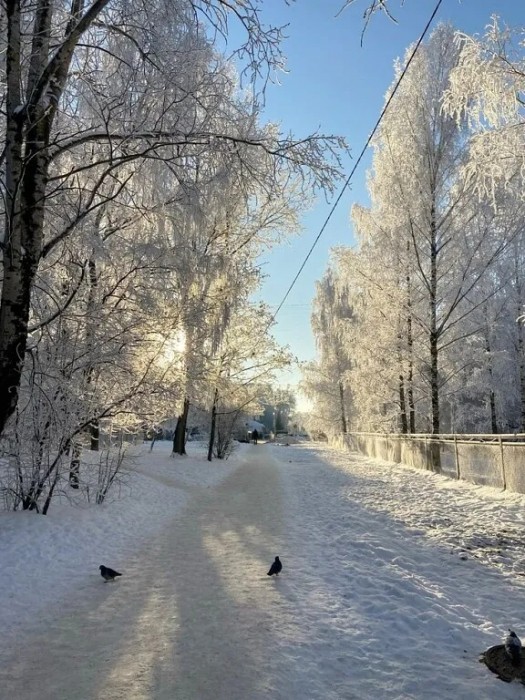 Зима ворожит