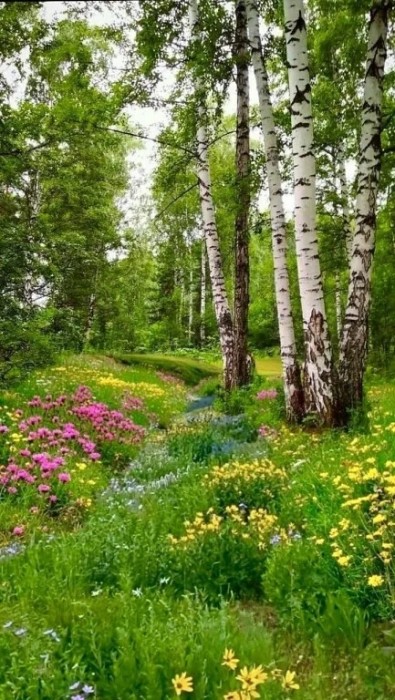 Природа стирает годы