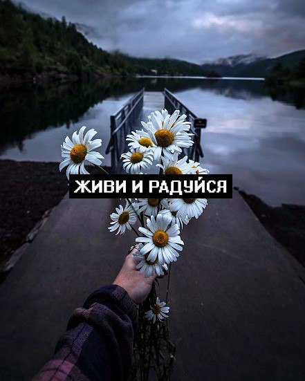 Живи и радуйся