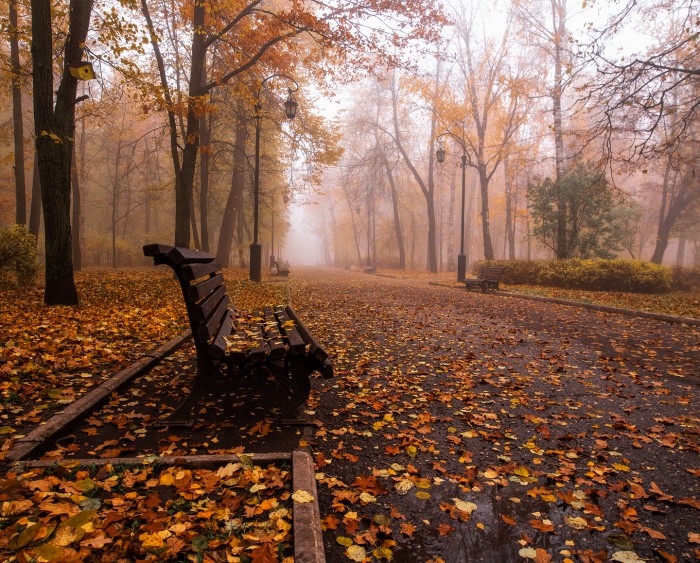 Осенняя грусть