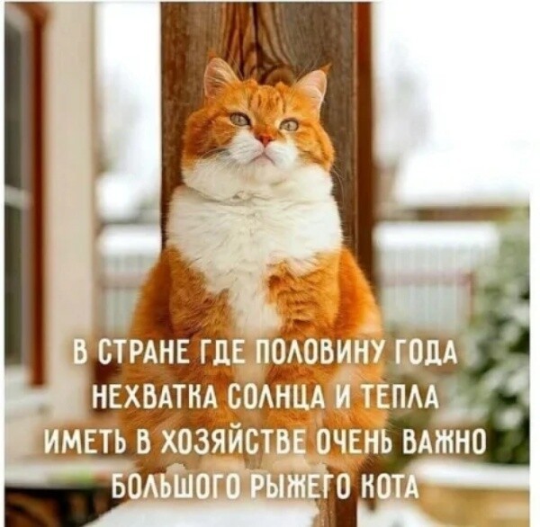 ○●○