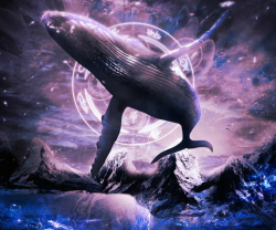 Стану песней кита
