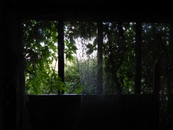 В прокуренной комнате...