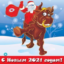Нет быка...Отзыв на "С Новым 2021 Годом!!!"         Николай Гольбрайх