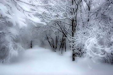Снег идёт        Отзыв на "Метель"       автор Юлия Погодина