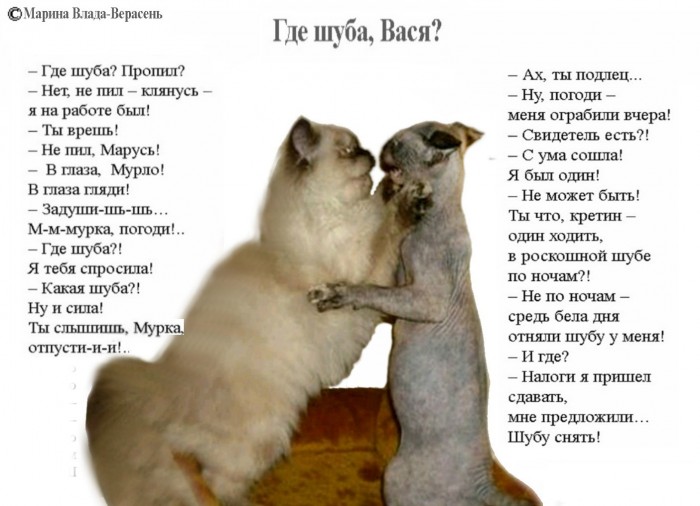 ГДЕ ШУБА, ВАСЯ?
