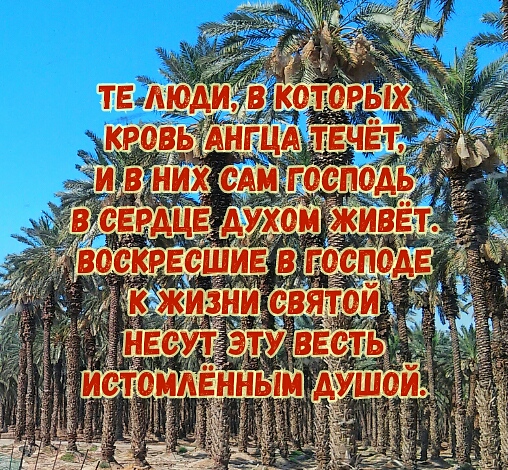 Те люди