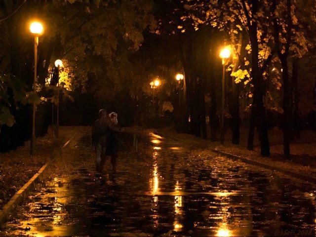 Ночь осенняя