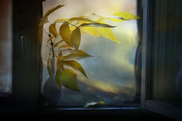 Осень смотрит в окно