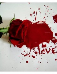 Любовь и кровь