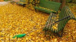 Дворник