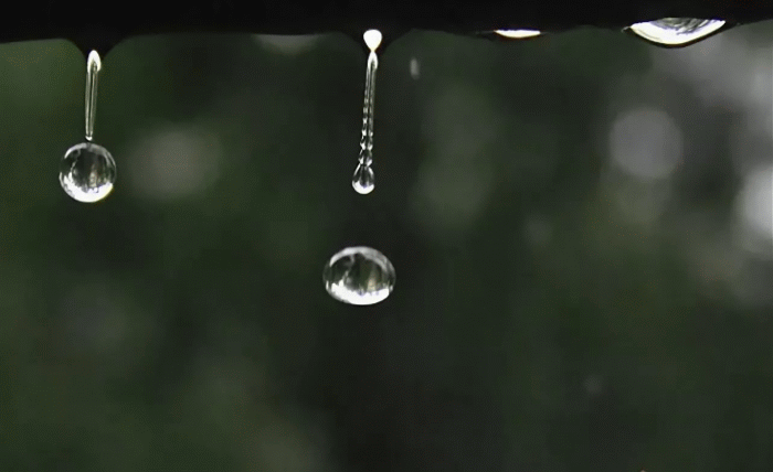 С крыш капает вода. Падающая капля. Капля падает в воду. Капля дождя. Капли падают.