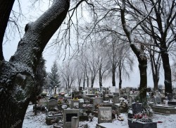 На зимнем кладбище