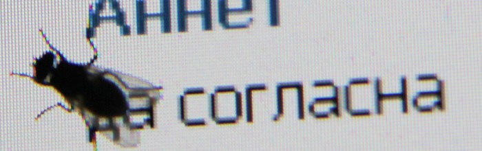 Представляю...